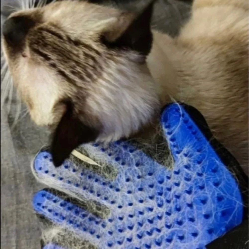 Pet grooming glove